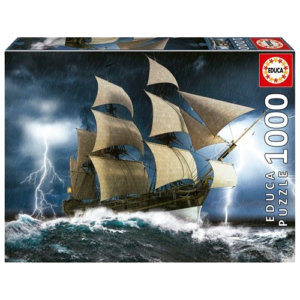 PUZZLE 1000 PCES TEMPETE PARFAITE