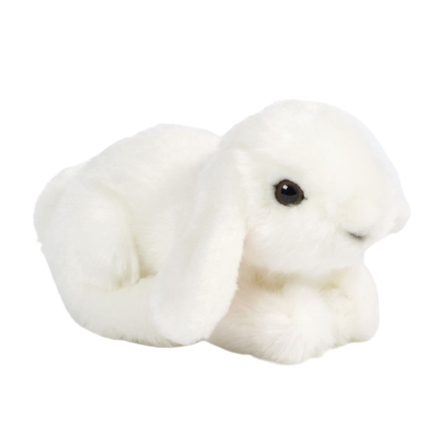 AN382-removebg-preview PELUCHE BUNNY PM – Image 1