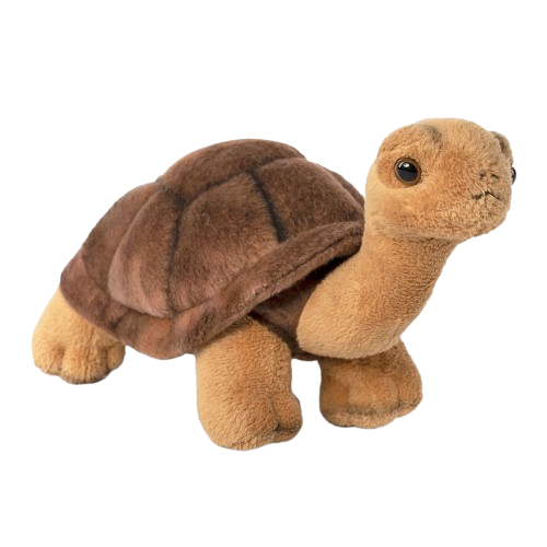 an726-removebg-preview PELUCHE TORTUE 22CM – Image 1