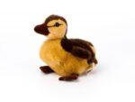 Peluche Caneton 19cm