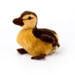 Peluche Caneton 19cm