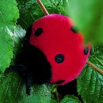 Peluche Coccinelle 8cm