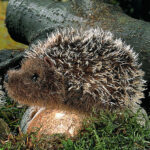 Peluche Hérisson 11cm – Image 2