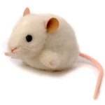 Peluche Souris Blanche 10cm