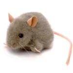 Peluche Souris Grise 10cm
