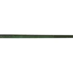 Queue de Billard Français Lynx Verte