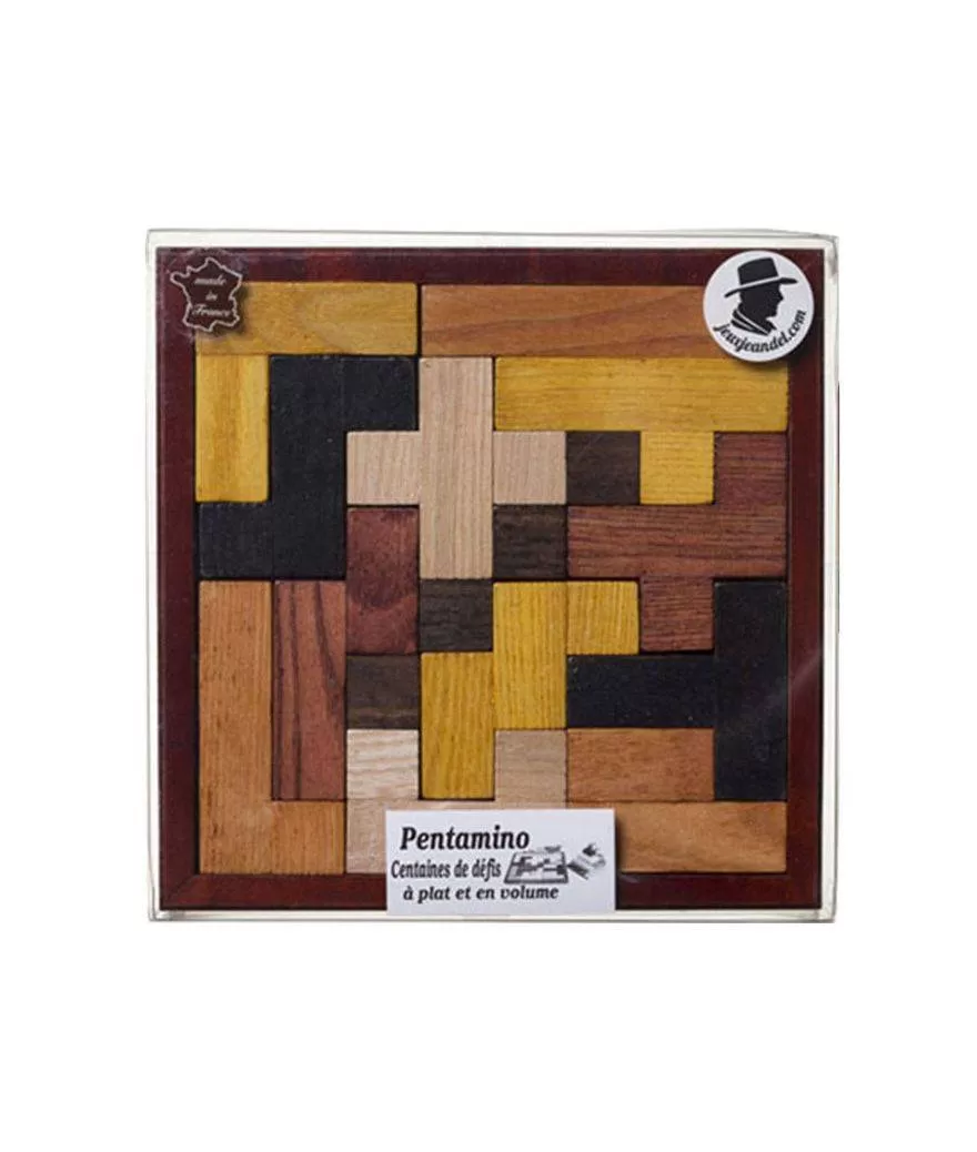 8909 Pentamino Evolutif – Image 1
